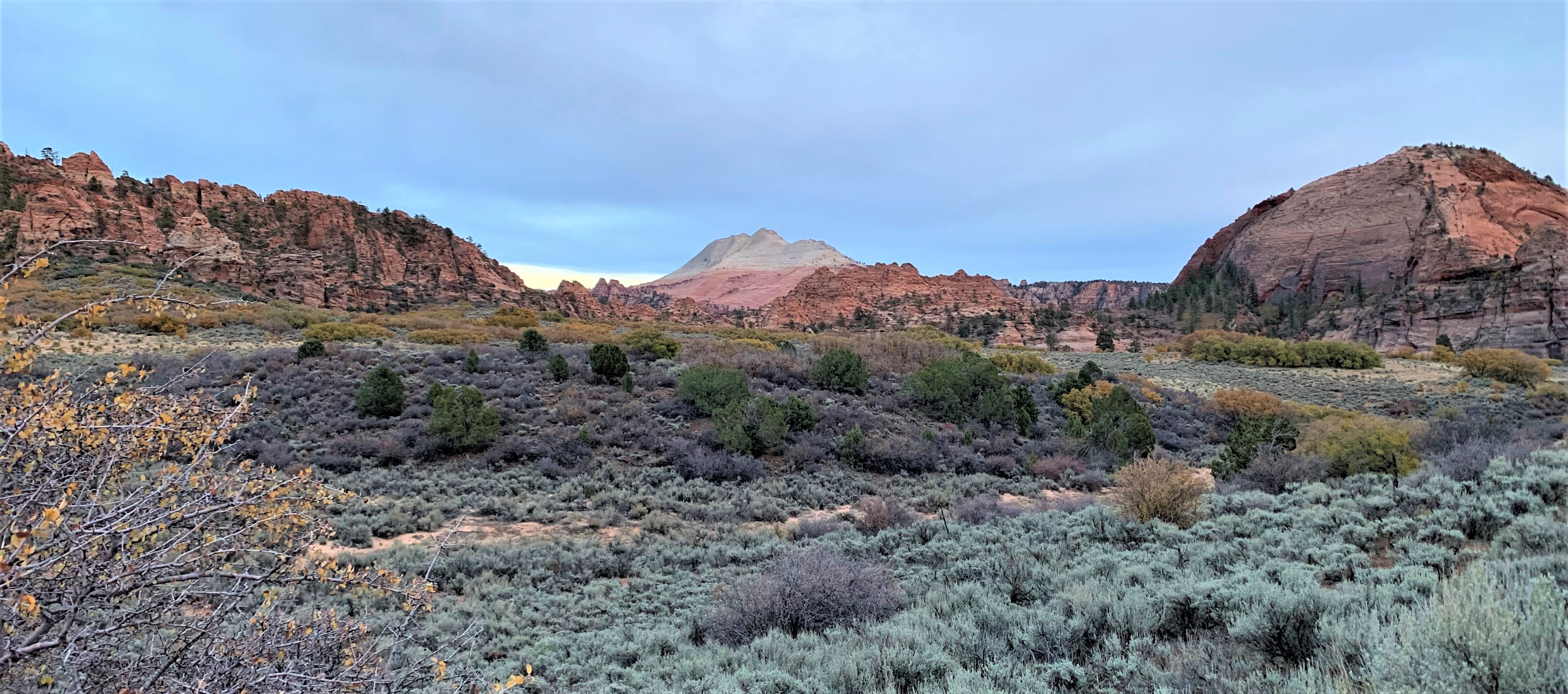 Zion NP